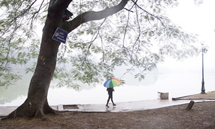 Ảnh minh họa: Internet