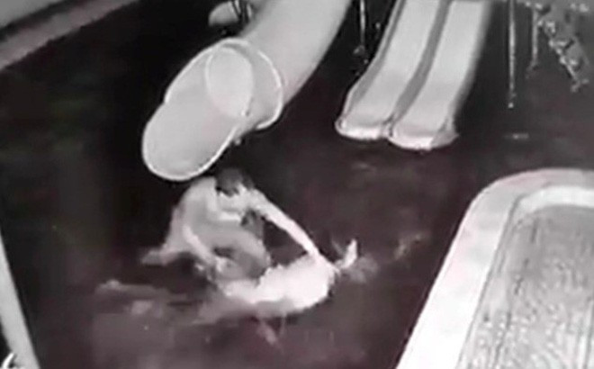 Hình ảnh vụ chồng đánh vợ tại Tây Ninh (ảnh cắt từ clip)Ảnh: HOÀ