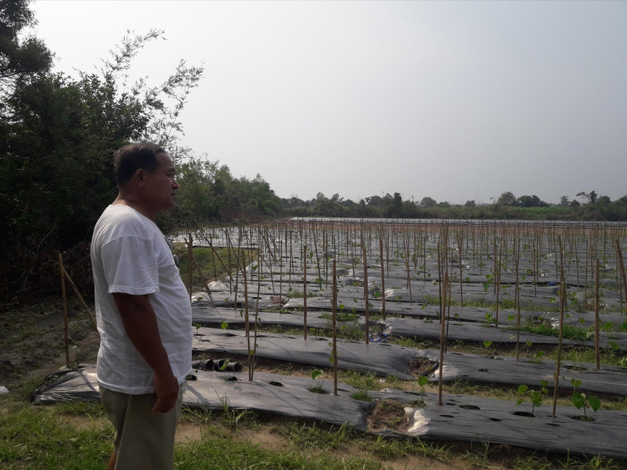 Ông Đoàn Văn Xuân và khu đất đang tận dụng trồng hoa màu của mình 