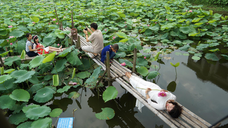 Hồ sen là một trong những điểm công cộng gần đây được nhiều người lựa chọn chụp trong đó có ảnh nude Ảnh: MẠNH THĂNG 