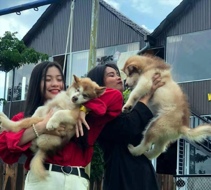 Bạn trẻ thích thú khi được ôm chú chó dễ thương