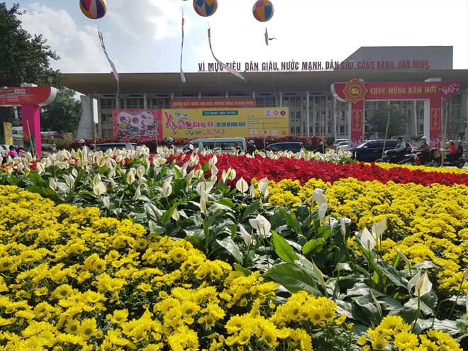 Hoa tại một đảo giao thông 