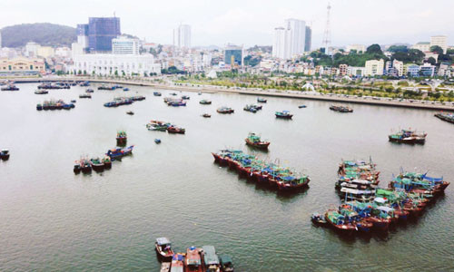 Những xóm chài xôm tụ, quây quần trên những chiếc thuyền cũ nát, họ sống thu mình đơn sơ, giản dị bên sự náo nhiệt, hối hả của phồn hoa phố thị 