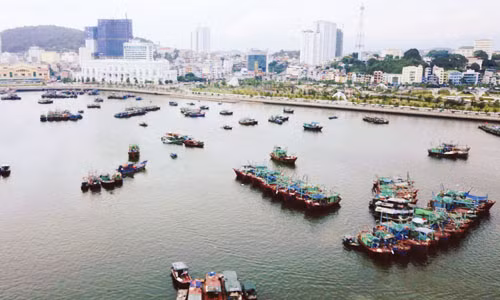 Những xóm chài xôm tụ, quây quần trên những chiếc thuyền cũ nát, họ sống thu mình đơn sơ, giản dị bên sự náo nhiệt, hối hả của phồn hoa phố thị 