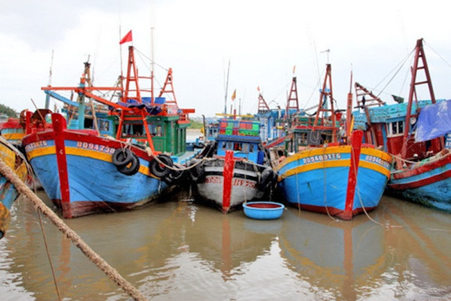 Xót xa hàng loạt tàu cá nằm bờ vì thua lỗ