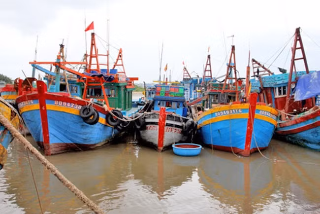 Xót xa hàng loạt tàu cá nằm bờ vì thua lỗ