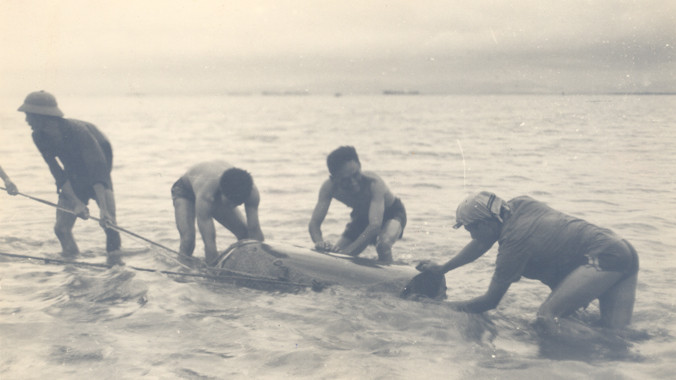 Toàn đội tiến hành kéo thủy lôi vào bờ 14/5/1972.