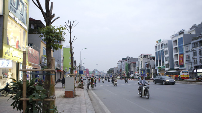 Cây xanh tuyến phố Ô Chợ Dừa - Hoàng Cầu được thực hiện theo hình thức xã hội hóa.Ảnh: Như Ý.