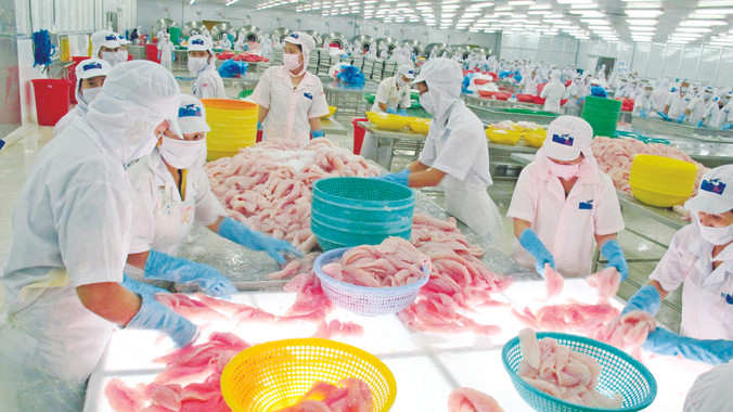 Thủy sản Việt Nam có cơ hội tăng xuất khẩu vào Hàn Quốc, Nga, Belarus, Kazakhstan với các FTA sắp được ký kết. Ảnh: Phạm Anh.