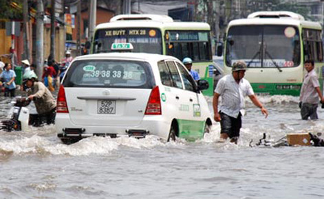 Mời chuyên gia nước ngoài chống ngập