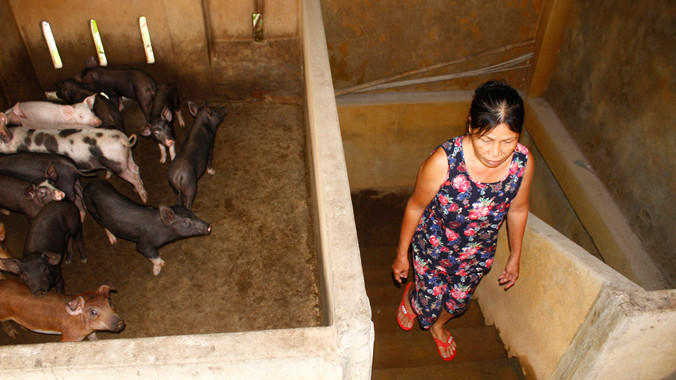 Bà Huỳnh Thị Phương đầu tư gần 100 triệu đồng để xây nhà 2 tầng để nuôi heo và tránh lũ. Ảnh: Nguyễn Thành.