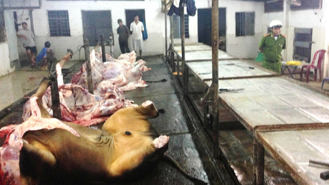 Những con bò bơm nước vừa được giết mổ ở cơ sở bà Thu.