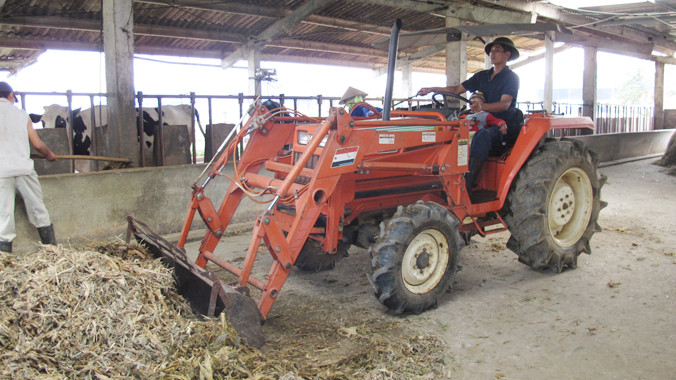 Mộc Châu đang từng bước cơ giới hóa trong khâu cho bò ăn thức ăn ủ ướp. Ảnh: Thanh Xuân.
