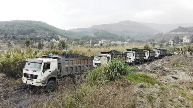 Đoàn xe tải chở than lậu bị bắt giữ.