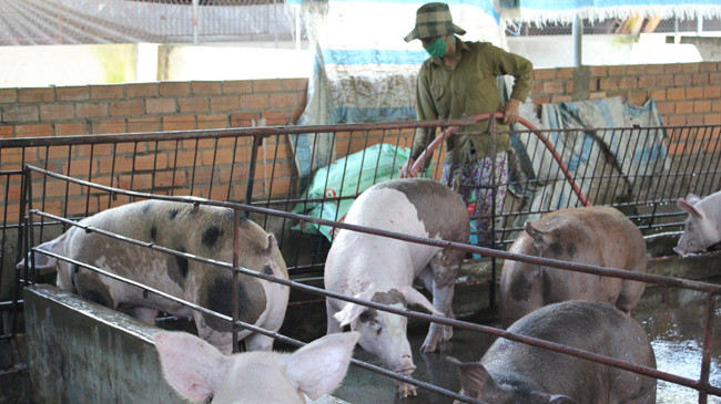 Cần phát động phong trào nông dân nói không với chất cấm.