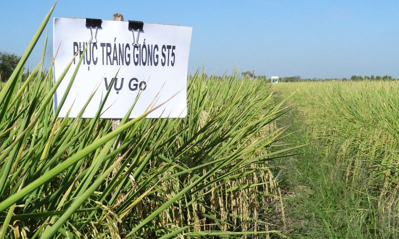 Loại bỏ tư duy nông nghiệp khép kín