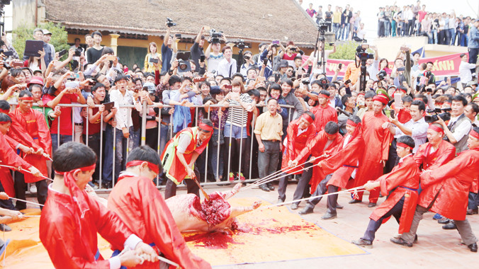 Cảnh chém lợn ở làng Ném Thượng (Bắc Ninh) ngày mùng 6 Tết Ất Mùi. Ảnh: Như Ý.