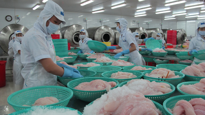 Các doanh nghiệp xuất khẩu thủy sản mất thêm thời gian, chi phí vì quy định của bộ. Ảnh: Phạm Anh.