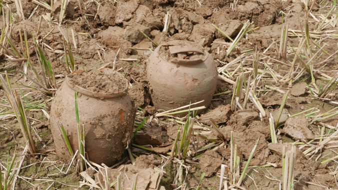 Vỏ sành còn rất nguyên vẹn.