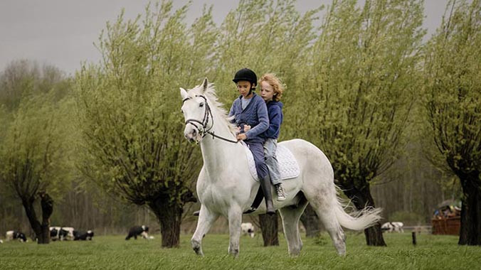 Cảnh trong phim “Cậu bé Finn”.