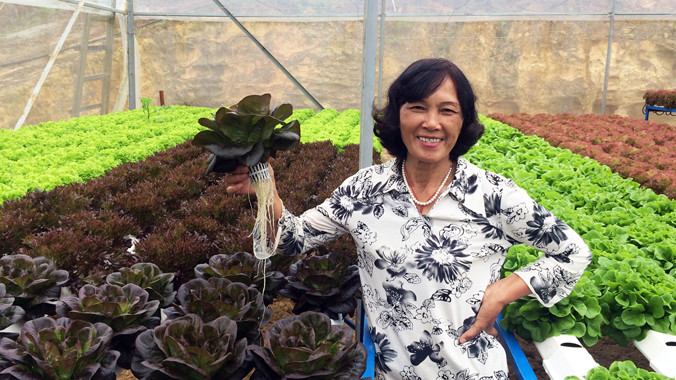Bà Cúc trong vườn rau thủy canh.