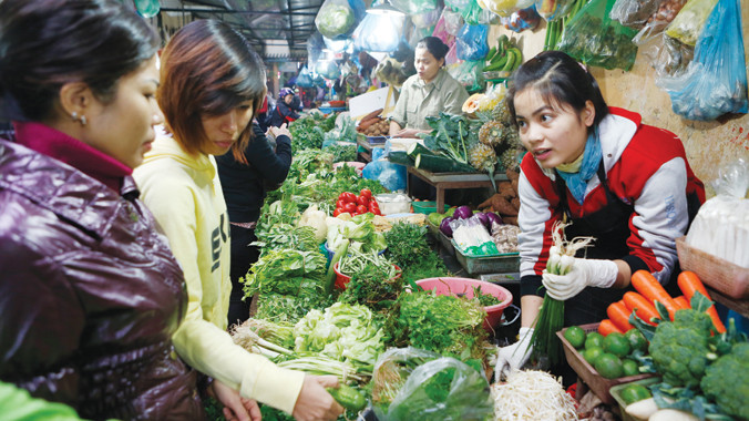 Thường trực câu hỏi: Liệu đây có là rau sạch?. Ảnh: Hồng Vĩnh.