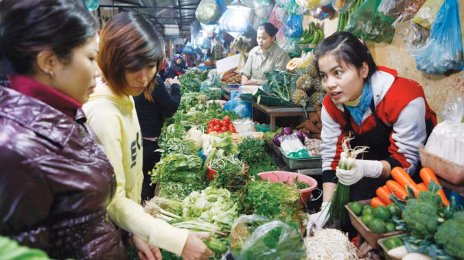 Thường trực câu hỏi: Liệu đây có là rau sạch?. Ảnh: Hồng Vĩnh.