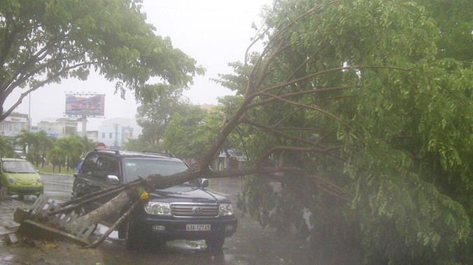 Cây đổ gãy ngổn ngang trên đường phố Đà Nẵng.