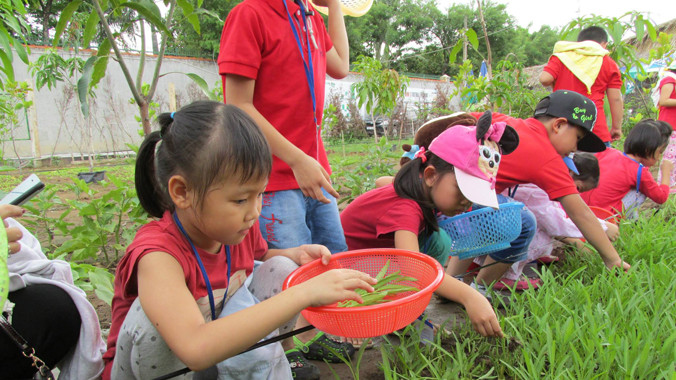 Một tiết học ngoại khóa ngày hè ngoài trời do một trung tâm tại TPHCM tổ chức.
