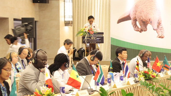 Thảo luận để đưa ra các giải pháp bảo tồn loài tê tê trên toàn cầu.