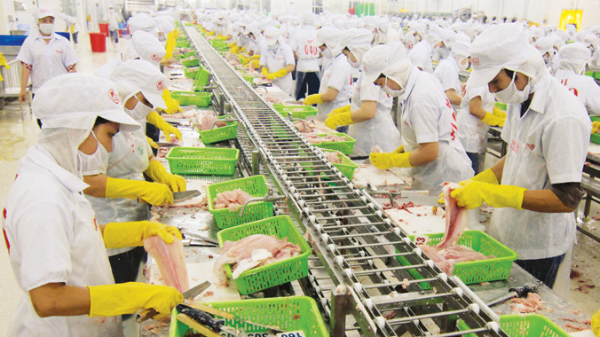 Dây chuyền chế biến thủy hải sản xuất khẩu. Ảnh: Hoàng Hải.