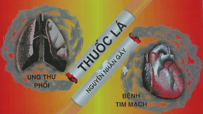 Thuốc lá là nguyên nhân gây ra ung thư phổi và bệnh tim mạch