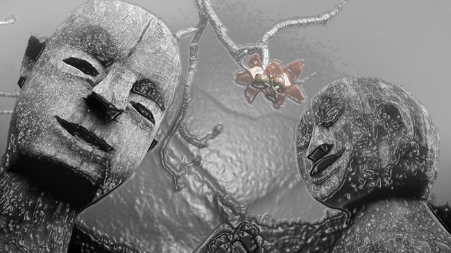 Tao Wao mùa ninh nông