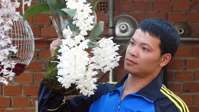 Anh Vũ Huy Hoàng bên cây lan thủy tiên quý hiếm.