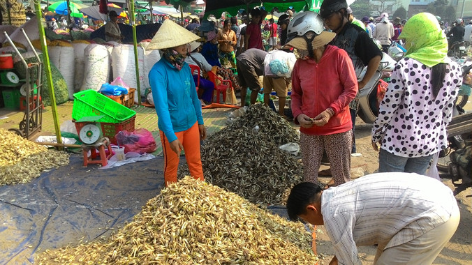 Củ kiệu là mặt hàng không giảm giá, còn có xu hướng tăng trong thời gian cận Tết. Ảnh: Việt Văn.