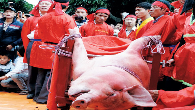 Lễ hội thôn Ném Thượng đang trở nên nổi tiếng và gây tranh cãi. Ảnh: Lê Bích.