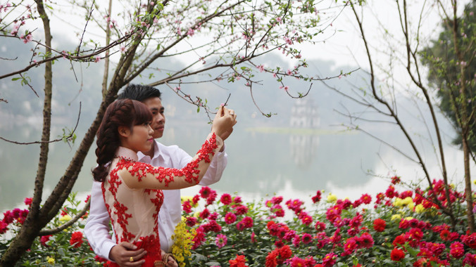 Thanh niên thủ đô chụp ảnh bên đào Mộc Châu.