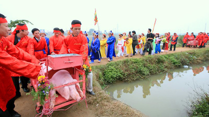 Rước lợn quanh làng. Ảnh: Lê Bích.