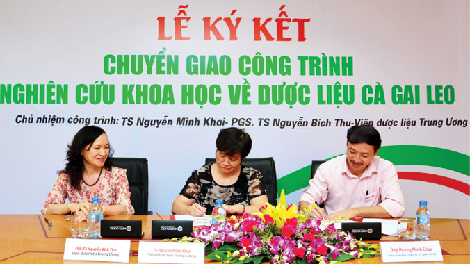 Chuyển giao thành công đề tài nghiên cứu cấp nhà nước về thảo dược hỗ trợ điều trị viêm gan virus