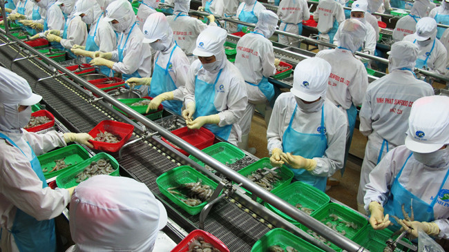 Xuất khẩu khó khăn, nông dân khốn đốn. Ảnh: Tiến Hưng.