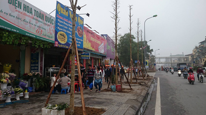 Cây trồng mới được các nhà khoa học dự đoán sẽ khó sống sót.