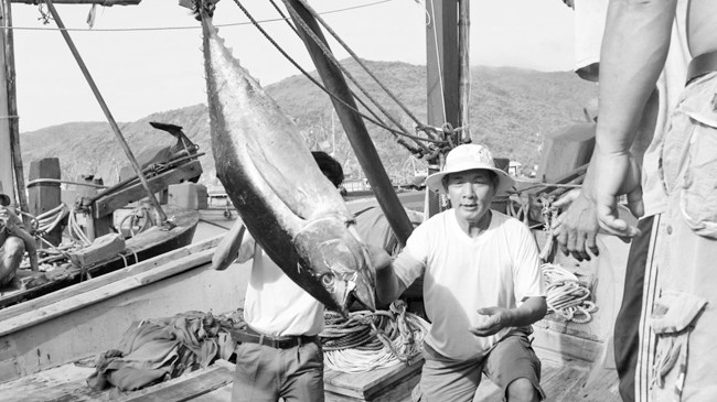 Nhiều ĐBQH đề nghị sửa Bộ luật Hàng hải, ngoài mục đích an ninh quốc phòng cần tạo điều kiện phát triển kinh tế biển. Ảnh: Hồng Vĩnh.