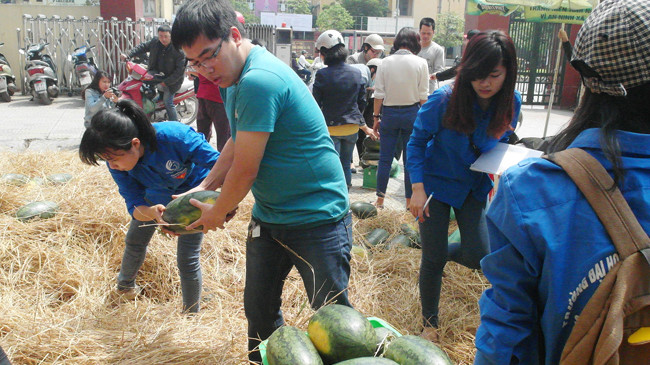 Các bạn sinh viên bốc dỡ dưa cho khách.