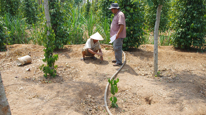 Thầy địa lý chỉ chỗ khoan giếng.