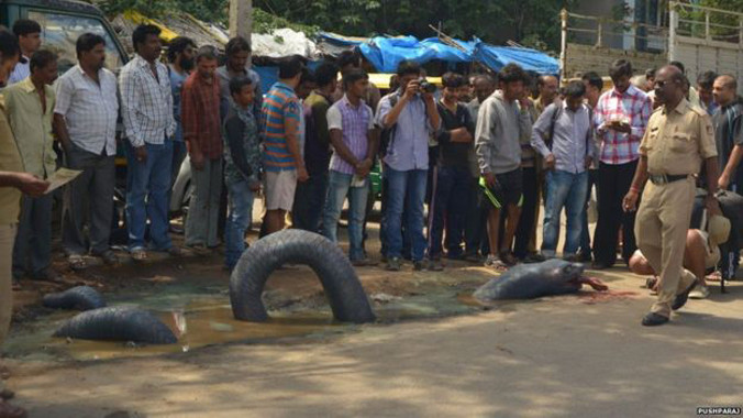 Các kiểu biểu tình kỳ quặc ở Ấn Độ. Ảnh: BBC.