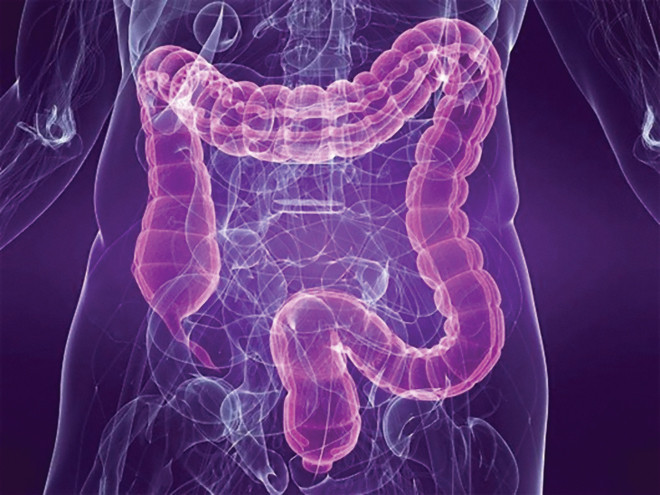 Các nhà khoa học Mỹ hiện đang thử nghiệm một phương pháp điều trị mới đem lại nhiều kết quả khả quan và bí kíp của phương pháp này liên quan đến… giun sán.