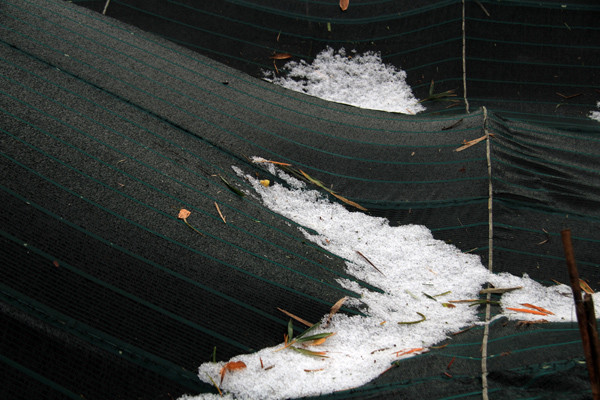 Mưa đá ở Đà Lạt gây thiệt hại 7,4 tỷ đồng