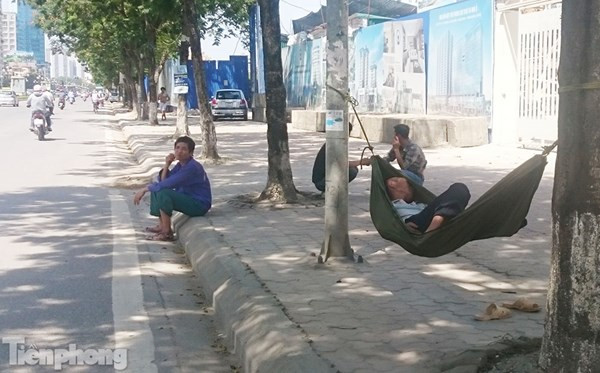 Người dân mắc võng dưới tán cây trên đường Lê Văn Lương (Hà Nội) để tránh nắng và nghỉ trưa.
