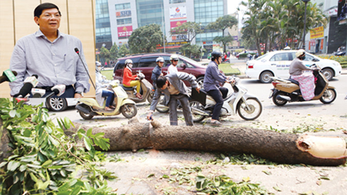 Phó Chủ tịch UBND TP Hà Nội Nguyễn Quốc Hùng trong cuộc họp báo (ảnh nhỏ). Cây bị chặt hạ trên đường Nguyễn Chí Thanh (ảnh lớn). Ảnh: Hồng vĩnh - Như Ý.