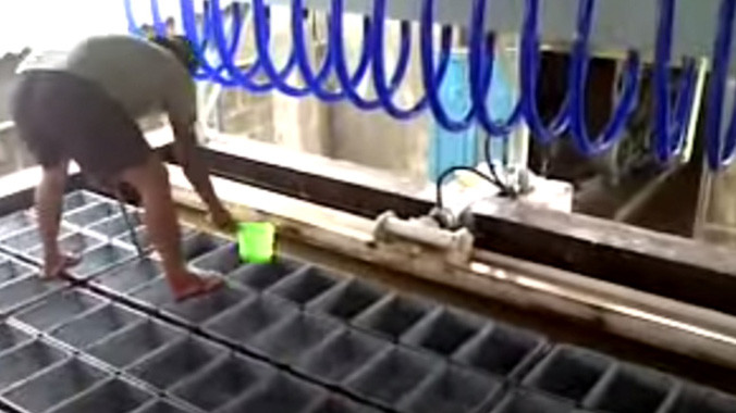 Công nhân vô tư đi dép lên trên các khay đá ở một cơ sở làm nước đá tại huyện Hóc Môn, TPHCM. Ảnh: Lê Nguyễn.